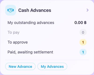 Cash Advances card — real Rapid OS screenshot